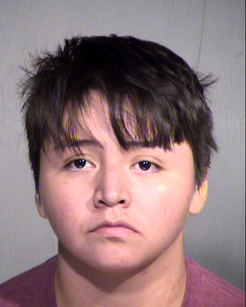 TANYA ELIZABETH BEGAY Mugshot / Maricopa County Arrests / Maricopa County Arizona