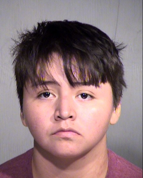 TANYA ELIZABETH BEGAY Mugshot / Maricopa County Arrests / Maricopa County Arizona Arrests TANYA ELIZABETH BEGAY Mugshot / Maricopa County Arrests / Maricopa County Arizona
