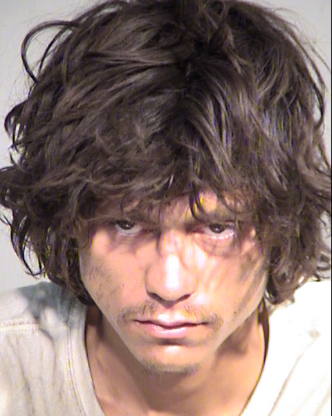 PHILLIP MICHAEL HERRERA Mugshot / Maricopa County Arrests / Maricopa County Arizona