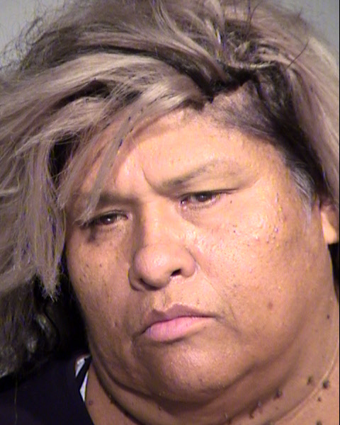 GRABIELA ADELA GARCIA Mugshot / Maricopa County Arrests / Maricopa County Arizona