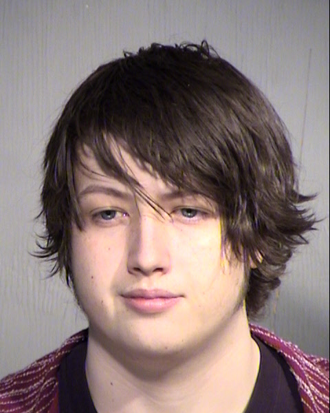 BEJAMIN ALLEN HENRY Mugshot / Maricopa County Arrests / Maricopa County Arizona