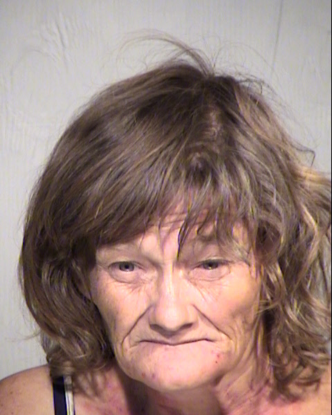 CHERYL ANN PERKINS Mugshot / Maricopa County Arrests / Maricopa County Arizona