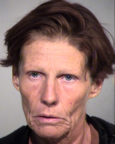 JULIE B LING Mugshot / Maricopa County Arrests / Maricopa County Arizona