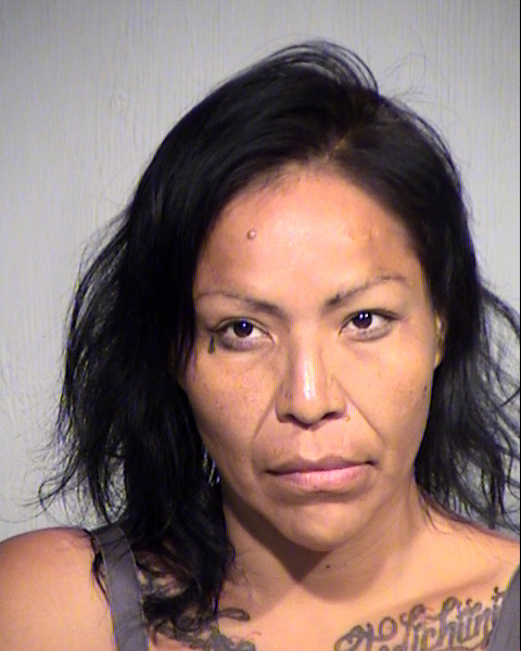 PAMELA JAMES Mugshot / Maricopa County Arrests / Maricopa County Arizona