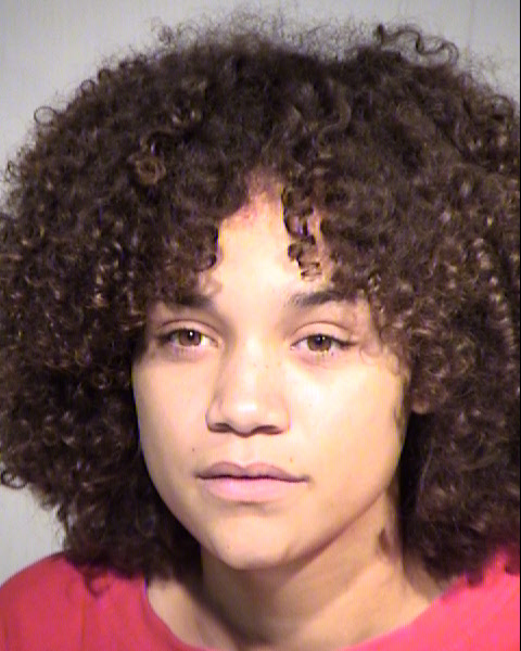 MICHELLE ANN ANDERSON Mugshot / Maricopa County Arrests / Maricopa County Arizona
