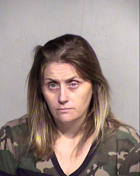 DANA LEIGH HICKS Mugshot / Maricopa County Arrests / Maricopa County Arizona