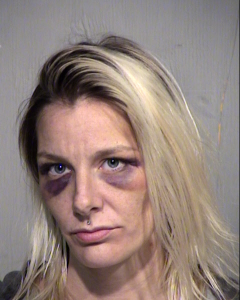 BROOKE ELIZABETH GOODRICH-MCGRATH Mugshot / Maricopa County Arrests / Maricopa County Arizona