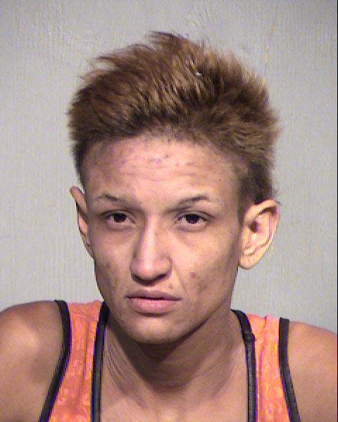 SANDRA SARAH TORRES Mugshot / Maricopa County Arrests / Maricopa County Arizona