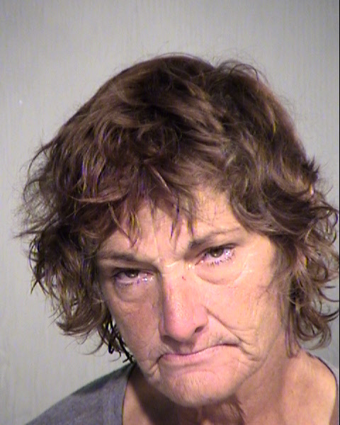 JULIE NANNETTE DAVIE Mugshot / Maricopa County Arrests / Maricopa County Arizona