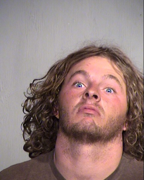 GLENN ALDON WINGFIELD Mugshot / Maricopa County Arrests / Maricopa County Arizona