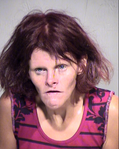 SANDY ROSE JAMES Mugshot / Maricopa County Arrests / Maricopa County Arizona