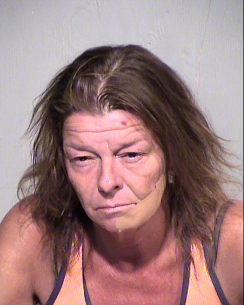 RHONDA LYNN SELNER Mugshot / Maricopa County Arrests / Maricopa County Arizona