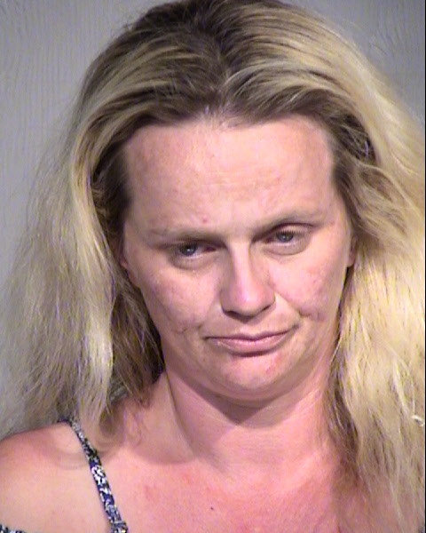 BRENDA LEE LINDSEY Mugshot / Maricopa County Arrests / Maricopa County Arizona