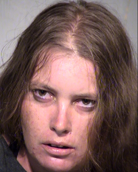 GINGER ANN BITTMAN Mugshot / Maricopa County Arrests / Maricopa County Arizona
