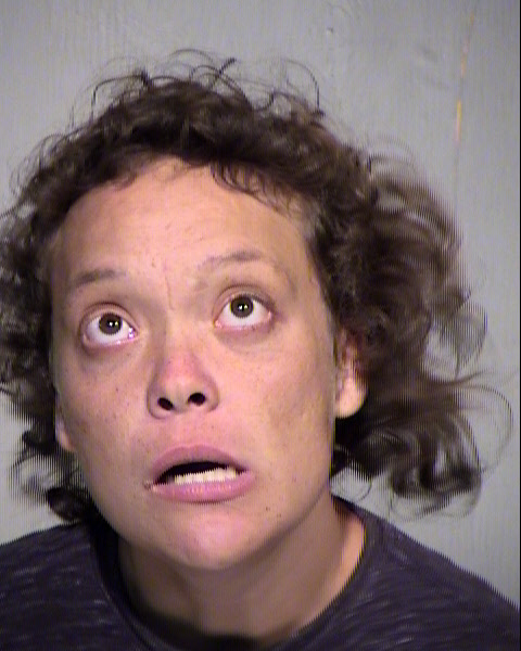 MARISA ANDREA SANCHEZ Mugshot / Maricopa County Arrests / Maricopa County Arizona