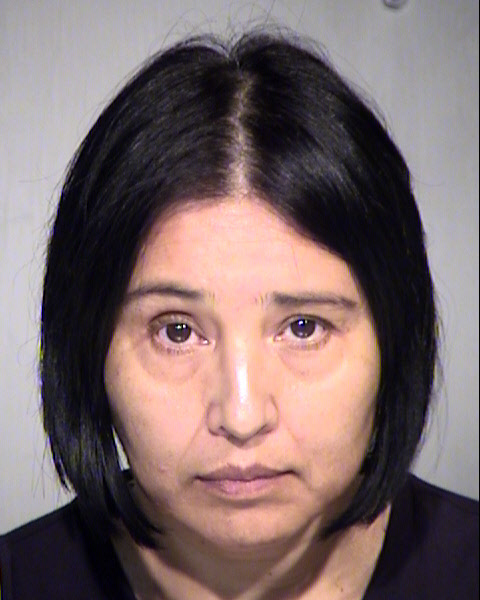 MARIA SILVIA HERNANDEZ ZAMORA Mugshot / Maricopa County Arrests / Maricopa County Arizona