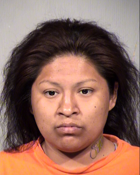 WINTER EVENING STARWALKER Mugshot / Maricopa County Arrests / Maricopa County Arizona