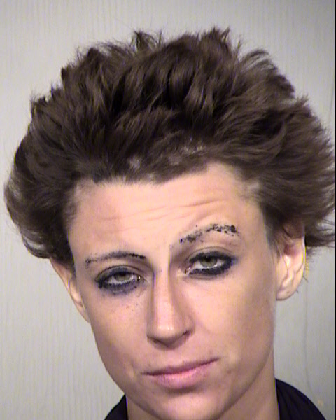 COURTNEY LEANN ASHBY Mugshot / Maricopa County Arrests / Maricopa County Arizona
