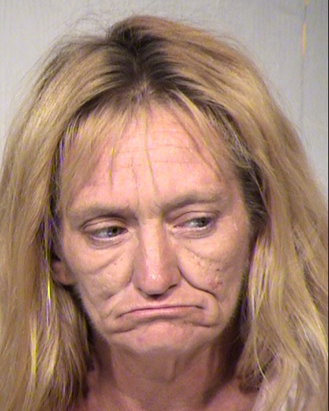 DINA ANN KRAMER Mugshot / Maricopa County Arrests / Maricopa County Arizona