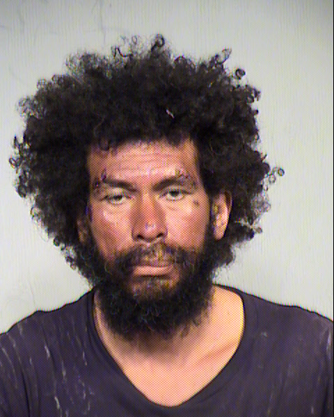 JAMES G LANDERS Mugshot / Maricopa County Arrests / Maricopa County Arizona