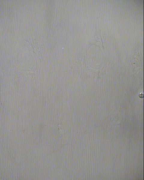 LAPORSCHE M COLES Mugshot / Maricopa County Arrests / Maricopa County Arizona