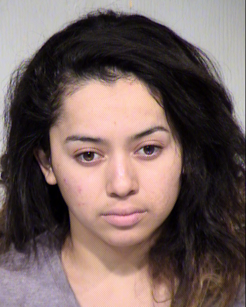 MARIA ESMERALDA ALFARO ERAZO Mugshot / Maricopa County Arrests / Maricopa County Arizona