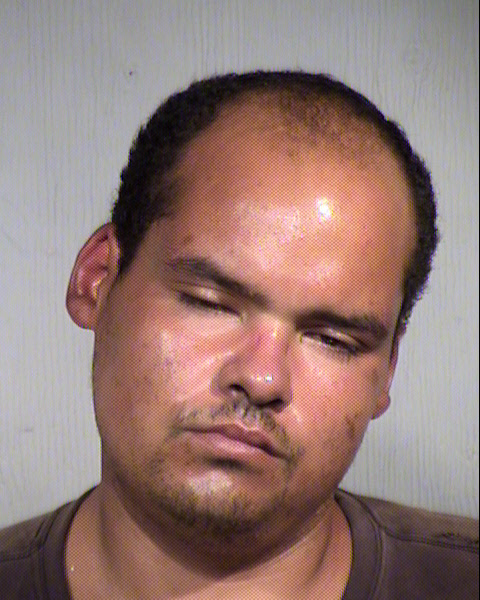 MICHAEL ELLIOT VOIT Mugshot / Maricopa County Arrests / Maricopa County Arizona
