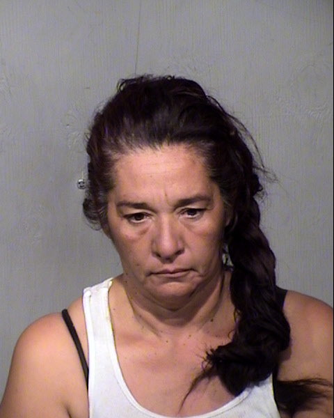 LISA HERNANDEZ Mugshot / Maricopa County Arrests / Maricopa County Arizona