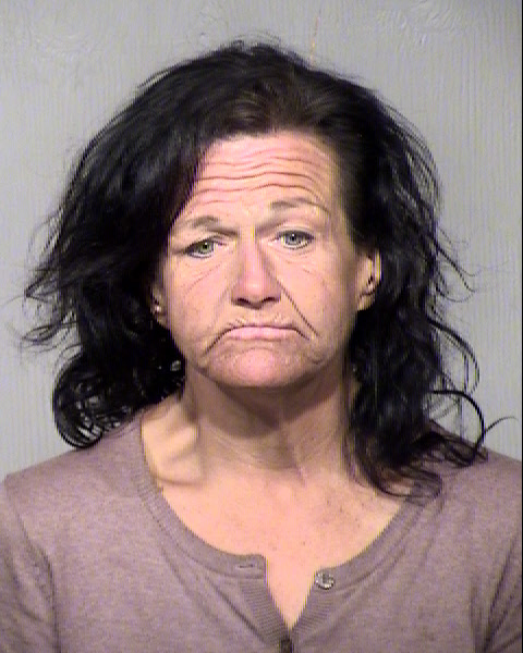 LORRIE LYNN BOTKIN Mugshot / Maricopa County Arrests / Maricopa County Arizona