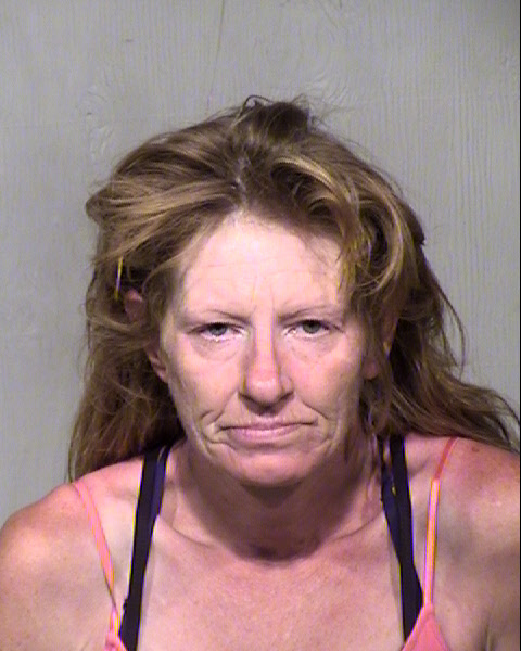 MICHELLE RENEE ELLIS Mugshot / Maricopa County Arrests / Maricopa County Arizona