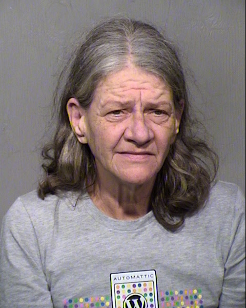 LORRI A WELLS Mugshot / Maricopa County Arrests / Maricopa County Arizona