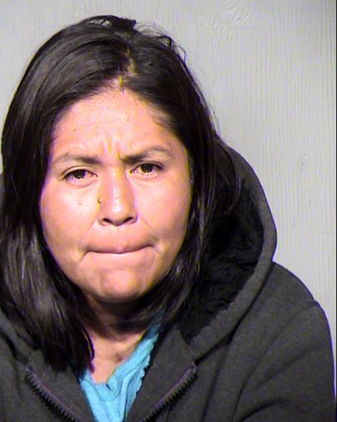 TRINA RANAE ELGO Mugshot / Maricopa County Arrests / Maricopa County Arizona