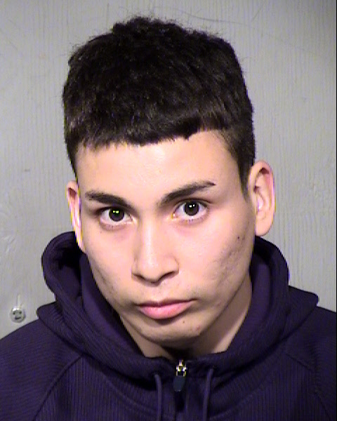 ADRIEL LUNA Mugshot / Maricopa County Arrests / Maricopa County Arizona