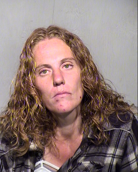 JAMIE LEE FRENCH Mugshot / Maricopa County Arrests / Maricopa County Arizona