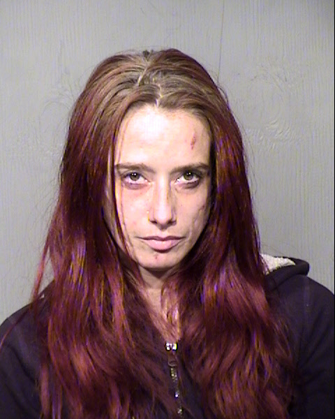 RACHEL SUE MENTINK Mugshot / Maricopa County Arrests / Maricopa County Arizona