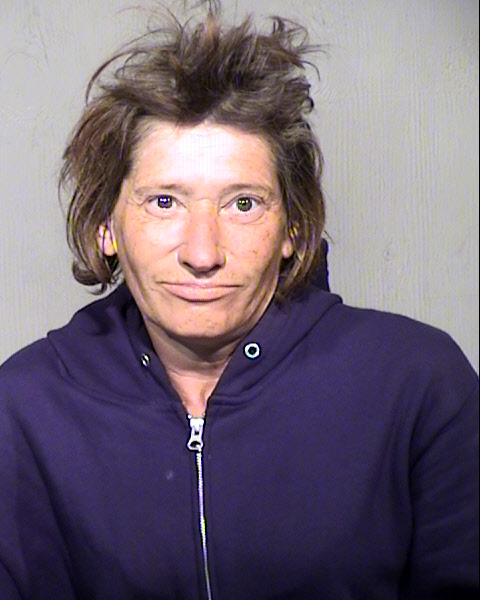 LEIGH ANN STILES Mugshot / Maricopa County Arrests / Maricopa County Arizona