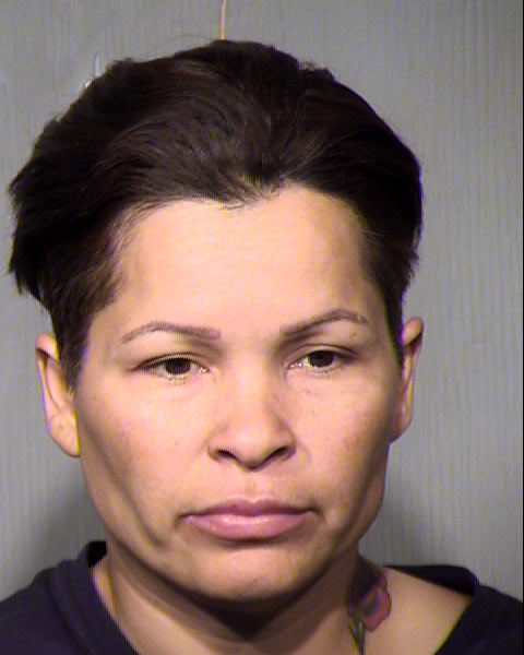JULIA GUADALUPE DIAZ Mugshot / Maricopa County Arrests / Maricopa County Arizona