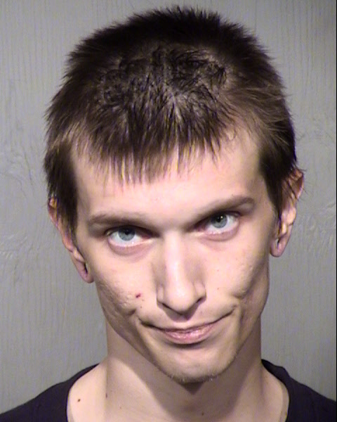 ANTHONY GERALD LAMING Mugshot / Maricopa County Arrests / Maricopa County Arizona