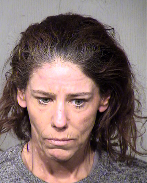 LAUREN ELIZABETH ARDELEAN Mugshot / Maricopa County Arrests / Maricopa County Arizona