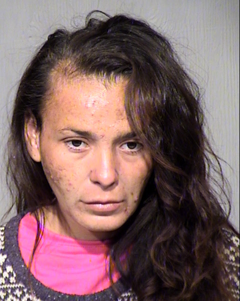 THERESA ANN MARIE MICHELGONZALES Mugshot / Maricopa County Arrests / Maricopa County Arizona