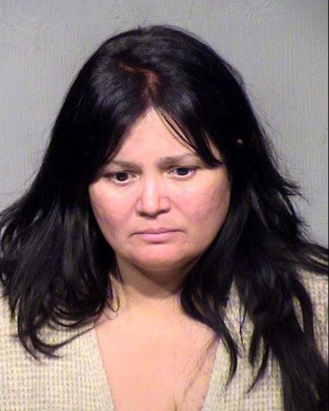CYNTHIA ELIZABETH MASON Mugshot / Maricopa County Arrests / Maricopa County Arizona