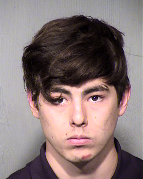 TRISTAN ALEXANDER OCONNOR Mugshot / Maricopa County Arrests / Maricopa County Arizona