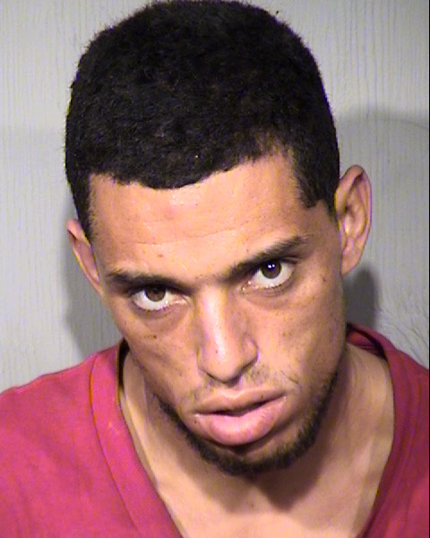 JAMES CHRISTIAN MARTINEAU Mugshot / Maricopa County Arrests / Maricopa County Arizona