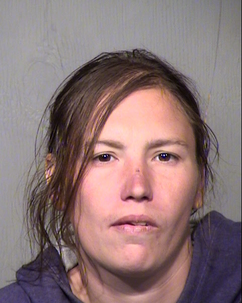ELIZABETH MARTINEK Mugshot / Maricopa County Arrests / Maricopa County Arizona