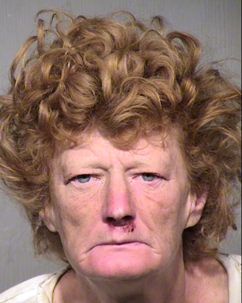 DAWN DENISE BIRDSONG Mugshot / Maricopa County Arrests / Maricopa County Arizona