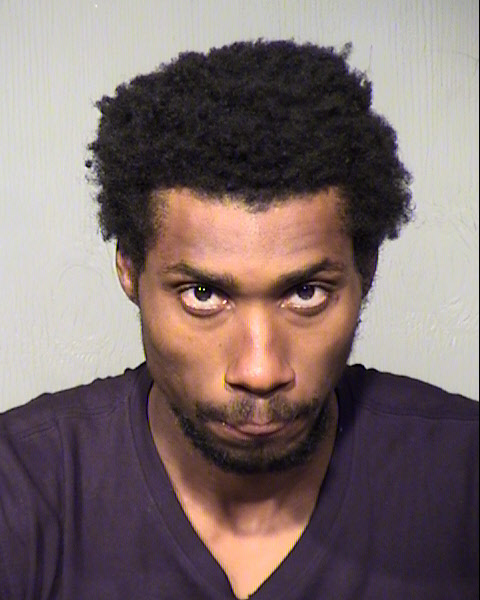 PARIS FRANCE Mugshot / Maricopa County Arrests / Maricopa County Arizona