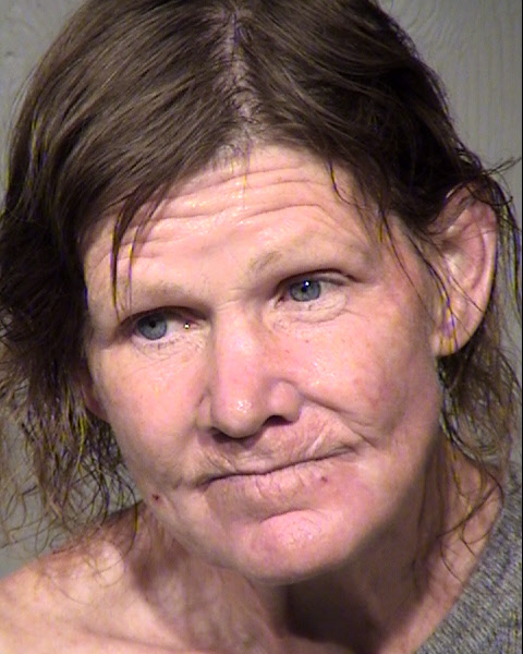 MARY BETH SCHMIDT Mugshot / Maricopa County Arrests / Maricopa County Arizona
