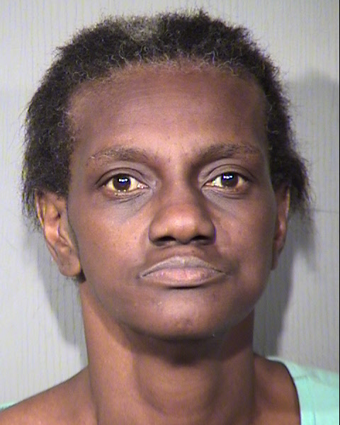 KATHERINE MICHELLE WILLIAMS Mugshot / Maricopa County Arrests / Maricopa County Arizona