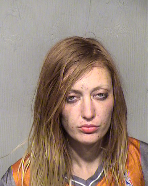 CHRISTINA ELIZABETH BREWER Mugshot / Maricopa County Arrests / Maricopa County Arizona