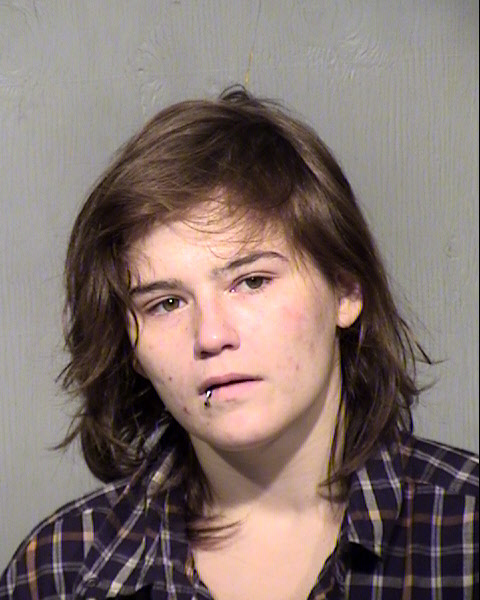 THERESA AMY GRIEGER Mugshot / Maricopa County Arrests / Maricopa County Arizona